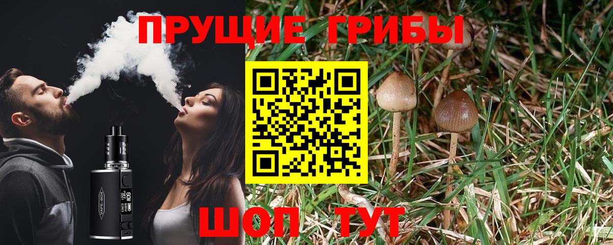 Нижнекамск  Галлюциногенные грибы ЛСД  Вход с VPN  Псилоцибиновые грибы мицелий 