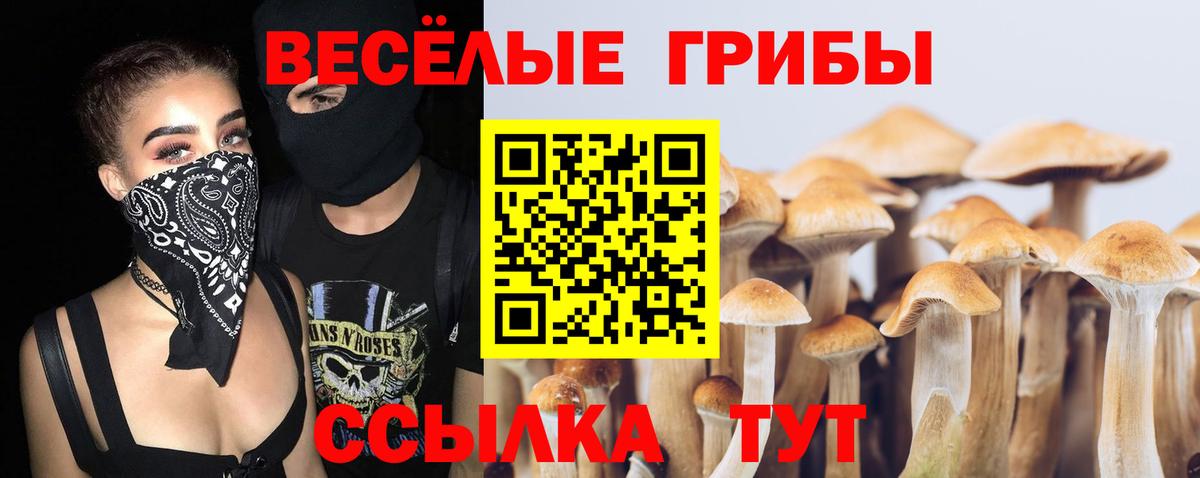 Галлюциногенные грибы мицелий Нижнекамск